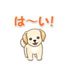 ちびラブラドールの毎日（個別スタンプ：11）