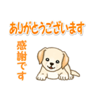 ちびラブラドールの毎日（個別スタンプ：17）