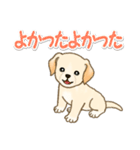 ちびラブラドールの毎日（個別スタンプ：19）