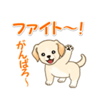 ちびラブラドールの毎日（個別スタンプ：21）