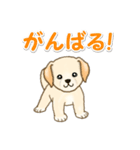 ちびラブラドールの毎日（個別スタンプ：23）