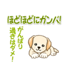 ちびラブラドールの毎日（個別スタンプ：24）