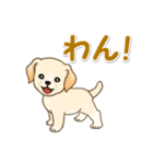 ちびラブラドールの毎日（個別スタンプ：25）