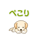 ちびラブラドールの毎日（個別スタンプ：27）