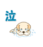 ちびラブラドールの毎日（個別スタンプ：32）