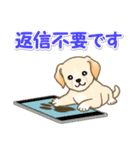 ちびラブラドールの毎日（個別スタンプ：35）