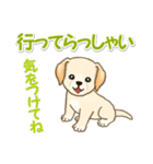 ちびラブラドールの毎日（個別スタンプ：37）
