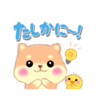 ベイビーしばぽよ（個別スタンプ：33）