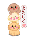 かわいいトイプードル♥お正月【BIG】（個別スタンプ：20）