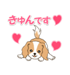 ちびキャバリアの毎日（個別スタンプ：4）