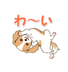 ちびキャバリアの毎日（個別スタンプ：5）