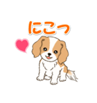 ちびキャバリアの毎日（個別スタンプ：6）