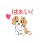 ちびキャバリアの毎日（個別スタンプ：9）