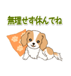 ちびキャバリアの毎日（個別スタンプ：15）