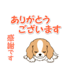 ちびキャバリアの毎日（個別スタンプ：17）