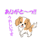 ちびキャバリアの毎日（個別スタンプ：18）