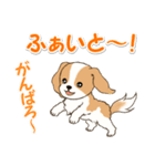 ちびキャバリアの毎日（個別スタンプ：21）
