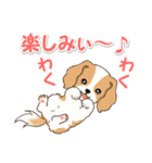 ちびキャバリアの毎日（個別スタンプ：23）