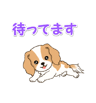 ちびキャバリアの毎日（個別スタンプ：27）