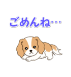 ちびキャバリアの毎日（個別スタンプ：32）