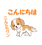 ちびキャバリアの毎日（個別スタンプ：35）