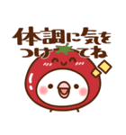 毎日しろちゃん21❤気持ち伝える（個別スタンプ：24）