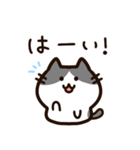 毎日使える！敬語！ハチワレ黒白猫ちゃん（個別スタンプ：1）