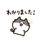 毎日使える！敬語！ハチワレ黒白猫ちゃん（個別スタンプ：3）
