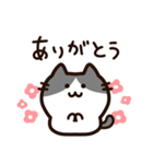 毎日使える！敬語！ハチワレ黒白猫ちゃん（個別スタンプ：5）