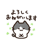 毎日使える！敬語！ハチワレ黒白猫ちゃん（個別スタンプ：8）