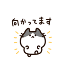 毎日使える！敬語！ハチワレ黒白猫ちゃん（個別スタンプ：9）
