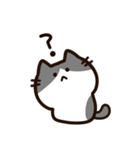 毎日使える！敬語！ハチワレ黒白猫ちゃん（個別スタンプ：12）