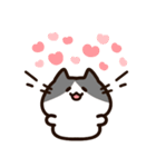 毎日使える！敬語！ハチワレ黒白猫ちゃん（個別スタンプ：14）