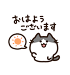 毎日使える！敬語！ハチワレ黒白猫ちゃん（個別スタンプ：17）