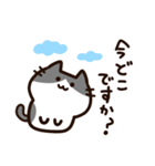 毎日使える！敬語！ハチワレ黒白猫ちゃん（個別スタンプ：21）
