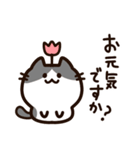 毎日使える！敬語！ハチワレ黒白猫ちゃん（個別スタンプ：25）