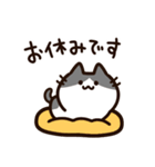 毎日使える！敬語！ハチワレ黒白猫ちゃん（個別スタンプ：28）