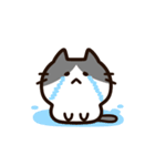 毎日使える！敬語！ハチワレ黒白猫ちゃん（個別スタンプ：31）