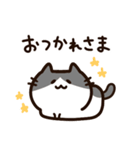 毎日使える！敬語！ハチワレ黒白猫ちゃん（個別スタンプ：36）
