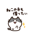 毎日使える！敬語！ハチワレ黒白猫ちゃん（個別スタンプ：37）