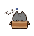 青いハートと気持ちを伝える黒猫ちゃん（個別スタンプ：5）
