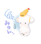 サンリオキャラクターズ【実写版第2弾】（個別スタンプ：34）