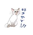 関西弁で伝える猫たちのスタンプ2（個別スタンプ：1）