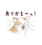 関西弁で伝える猫たちのスタンプ2（個別スタンプ：5）