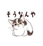 関西弁で伝える猫たちのスタンプ2（個別スタンプ：13）