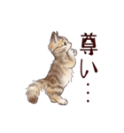 関西弁で伝える猫たちのスタンプ2（個別スタンプ：19）