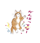 関西弁で伝える猫たちのスタンプ2（個別スタンプ：21）