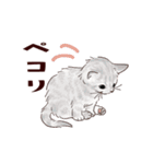 関西弁で伝える猫たちのスタンプ2（個別スタンプ：22）