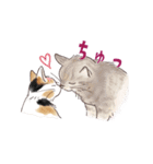 関西弁で伝える猫たちのスタンプ2（個別スタンプ：23）