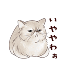関西弁で伝える猫たちのスタンプ2（個別スタンプ：26）
